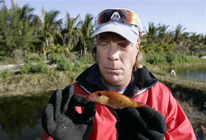 Tropical fish farmer Michael Breen holds a dead snook cichlid, one of the thousands of his fish killed by repeated days of cold temperatures in his ponds in Loxahatchee