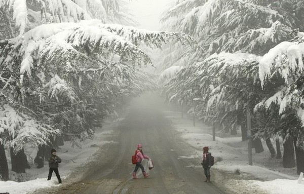 Children cross the road on a snowy day in Tbilisi