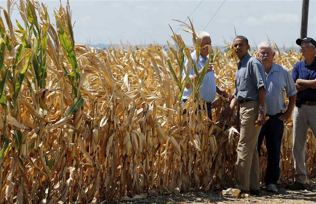 U.S. President Barack Obama tours a drought ridden corn farm in Missouri Valley, Iowa